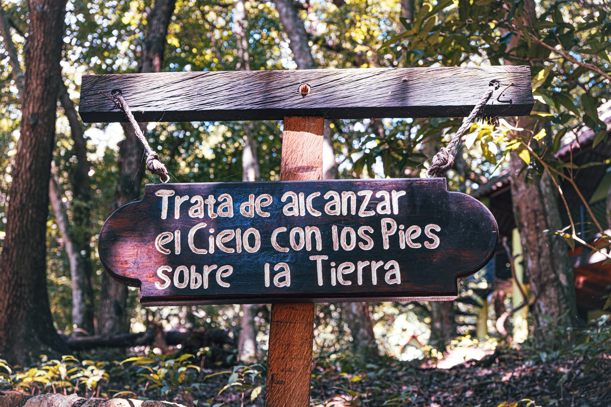 Wooden sign along the El Chiflón trail near San Cristóbal de Las Casas, Chiapas, Mexico, featuring a Spanish phrase painted by hand and hanging from a wooden post in the forest at the El Chiflón waterfalls park, a popular day trip often combined with Montebello Lakes