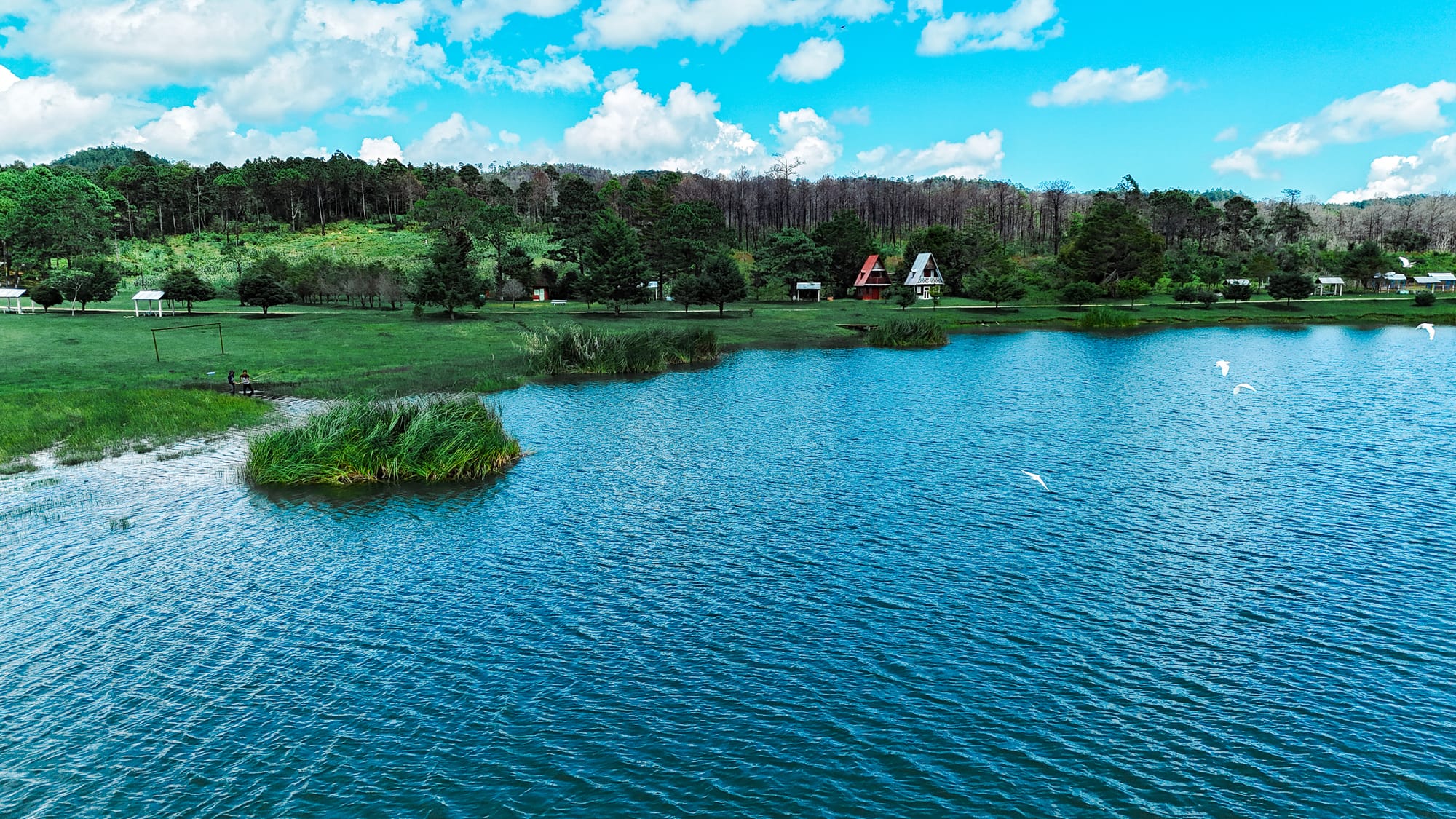 Lake scene at Montebello Lakes near San Cristóbal de Las Casas, Chiapas, Mexico, showing bright blue water, grassy shoreline, small cabins, and surrounding forest within Lagunas de Montebello National Park, a popular stop on day trips often combined with El Chiflón waterfalls