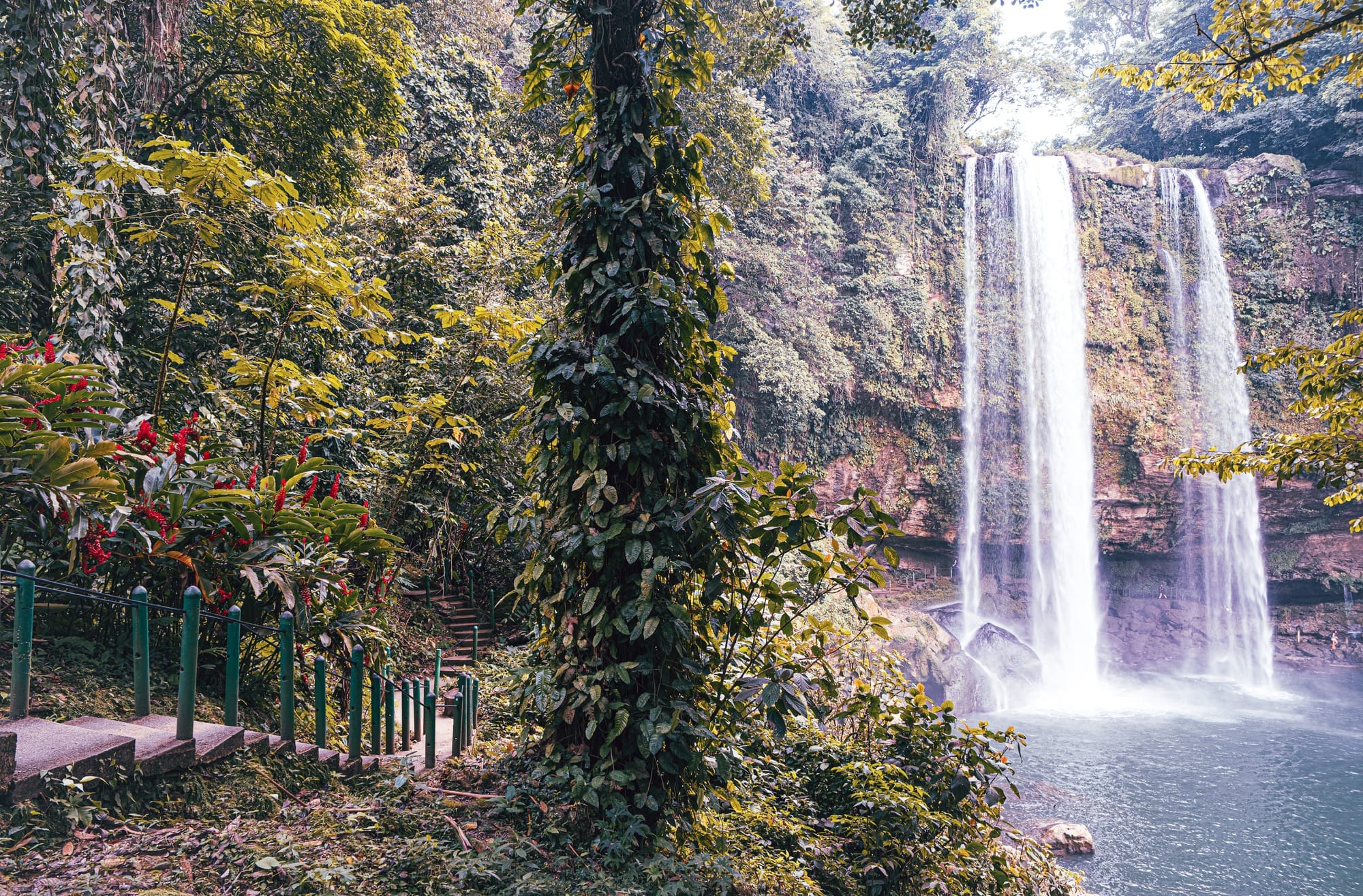 Misol-Há waterfall near Palenque, Chiapas, viewed from the main walking path with jungle vegetation, stone steps, and railing leading toward the large single-drop waterfall flowing into a wide natural pool, showing the surrounding rainforest setting and visitor access paths at one of the most well-known waterfalls near Palenque in southern Mexico