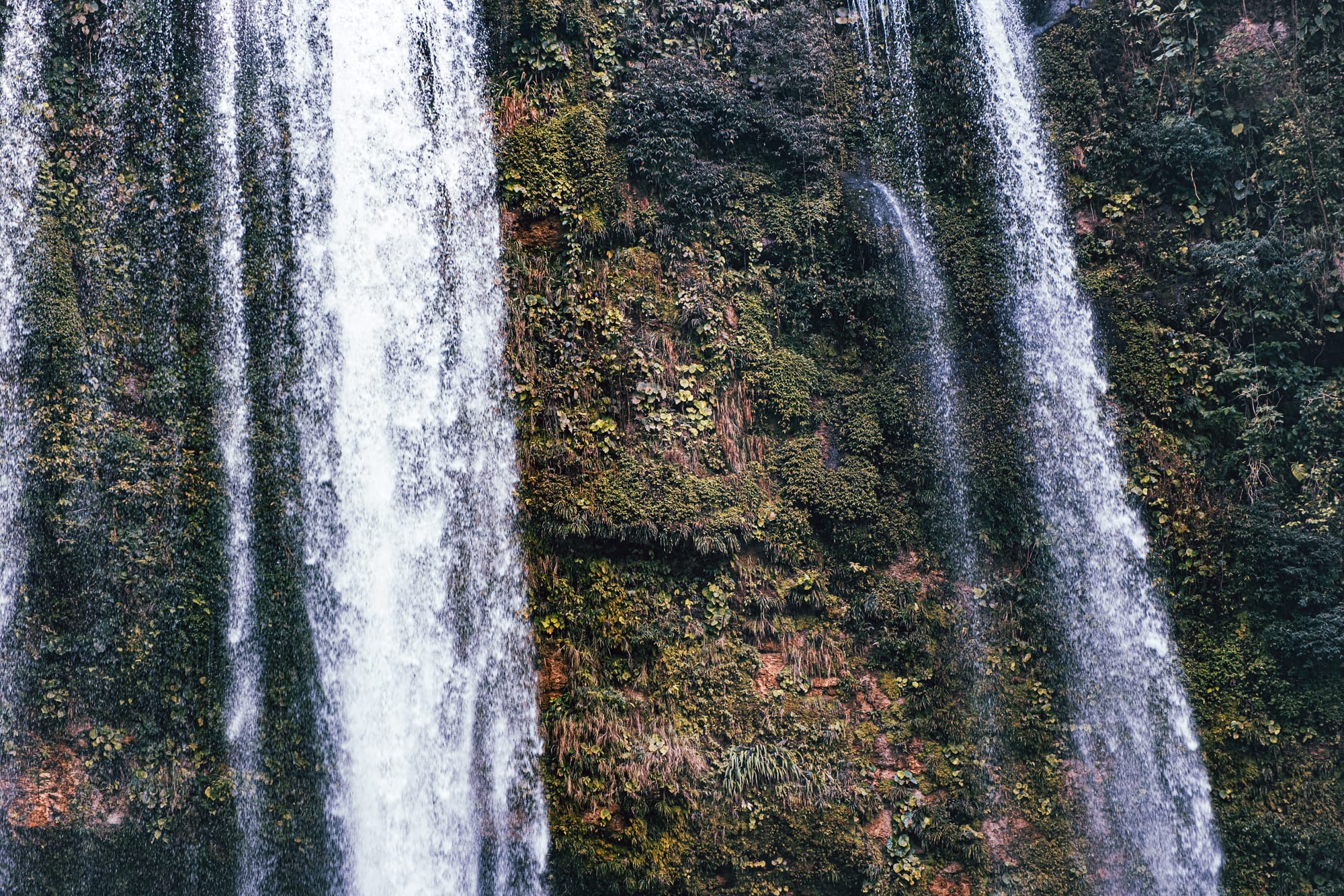 Close-up view of Misol-Há waterfall near Palenque, Chiapas, showing multiple vertical streams of water cascading down a moss-covered limestone cliff, with dense green vegetation clinging to the rock face, highlighting the texture, scale, and jungle setting of one of the most iconic single-drop waterfalls near Palenque in southern Mexico