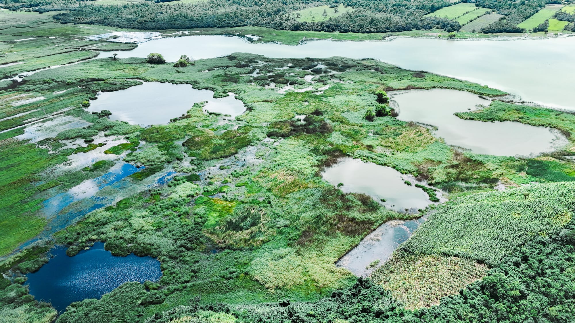 Aerial view of Montebello Lakes in Chiapas showing interconnected wetlands, shallow lagoons, and surrounding green fields near the Guatemala border
