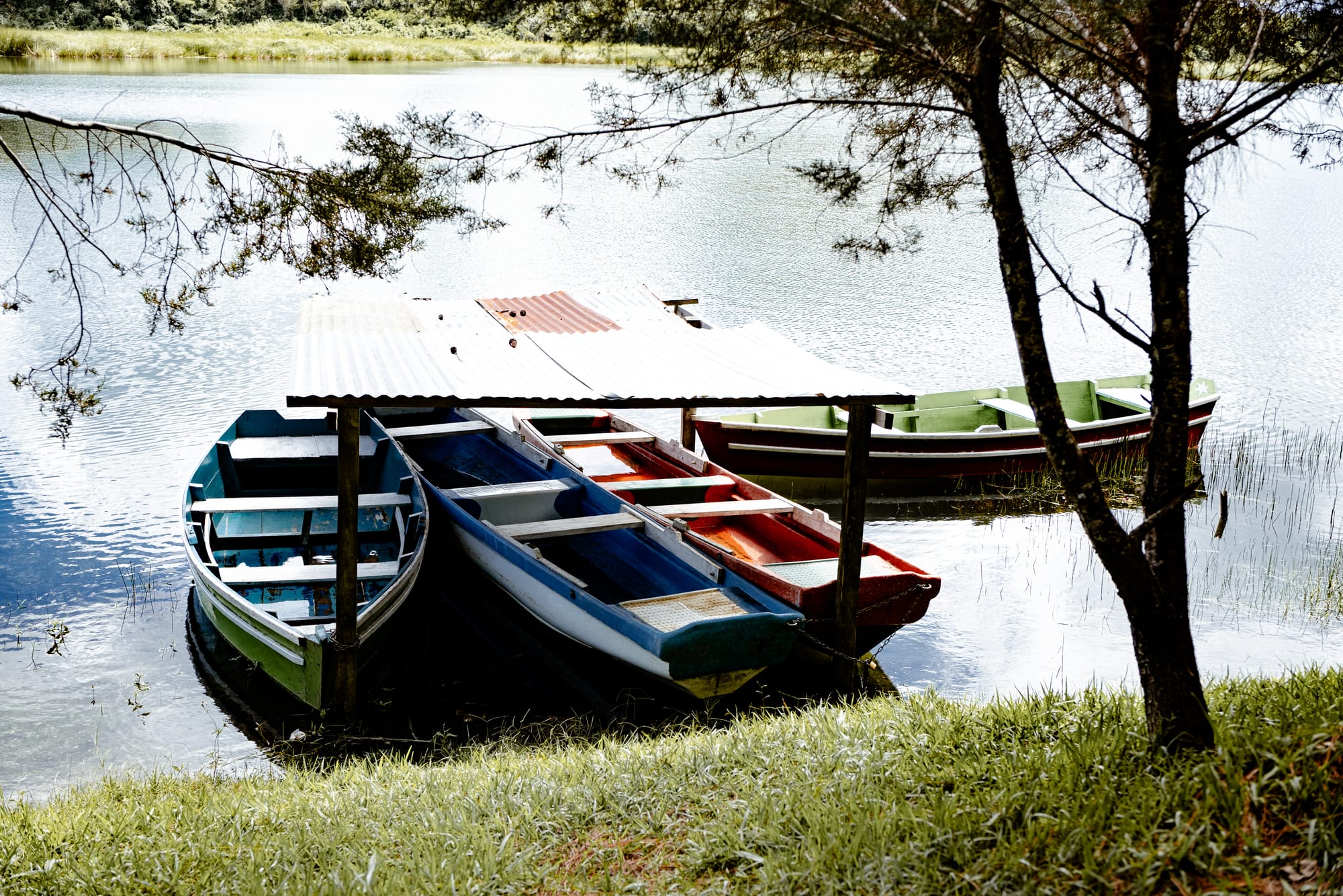 Colorful rowboats tied along the shore of Montebello Lakes in Chiapas, sitting beneath a small tin roof on the calm, reflective water
