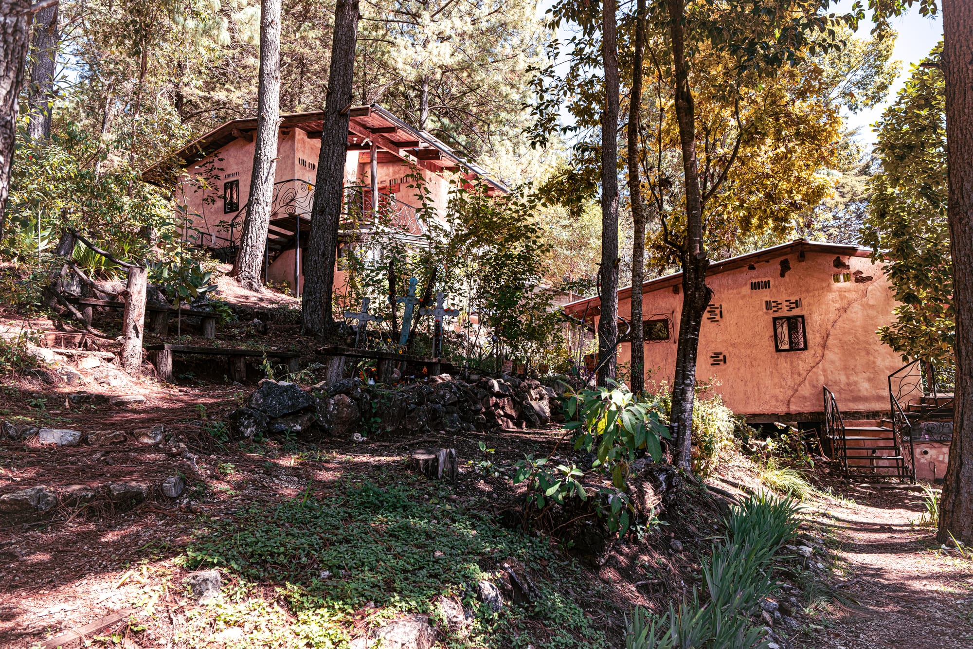 Rustic buildings along the hillside trails at Moxviquil in San Cristóbal de las Casas, surrounded by pine trees, native plants, and shaded forest paths