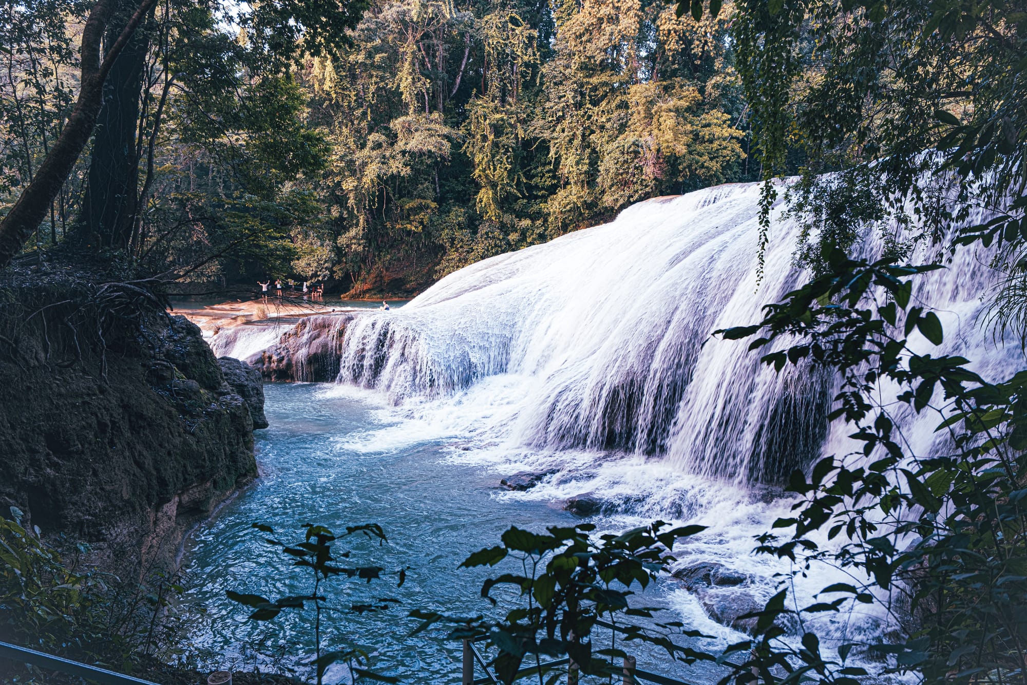 Cascadas Roberto Barrios waterfalls near Palenque, Chiapas, Mexico, wide jungle waterfall with flowing limestone cascades, turquoise pool below waterfalls, dense forest surroundings, Roberto Barrios waterfalls day trip and swimming area near Palenque