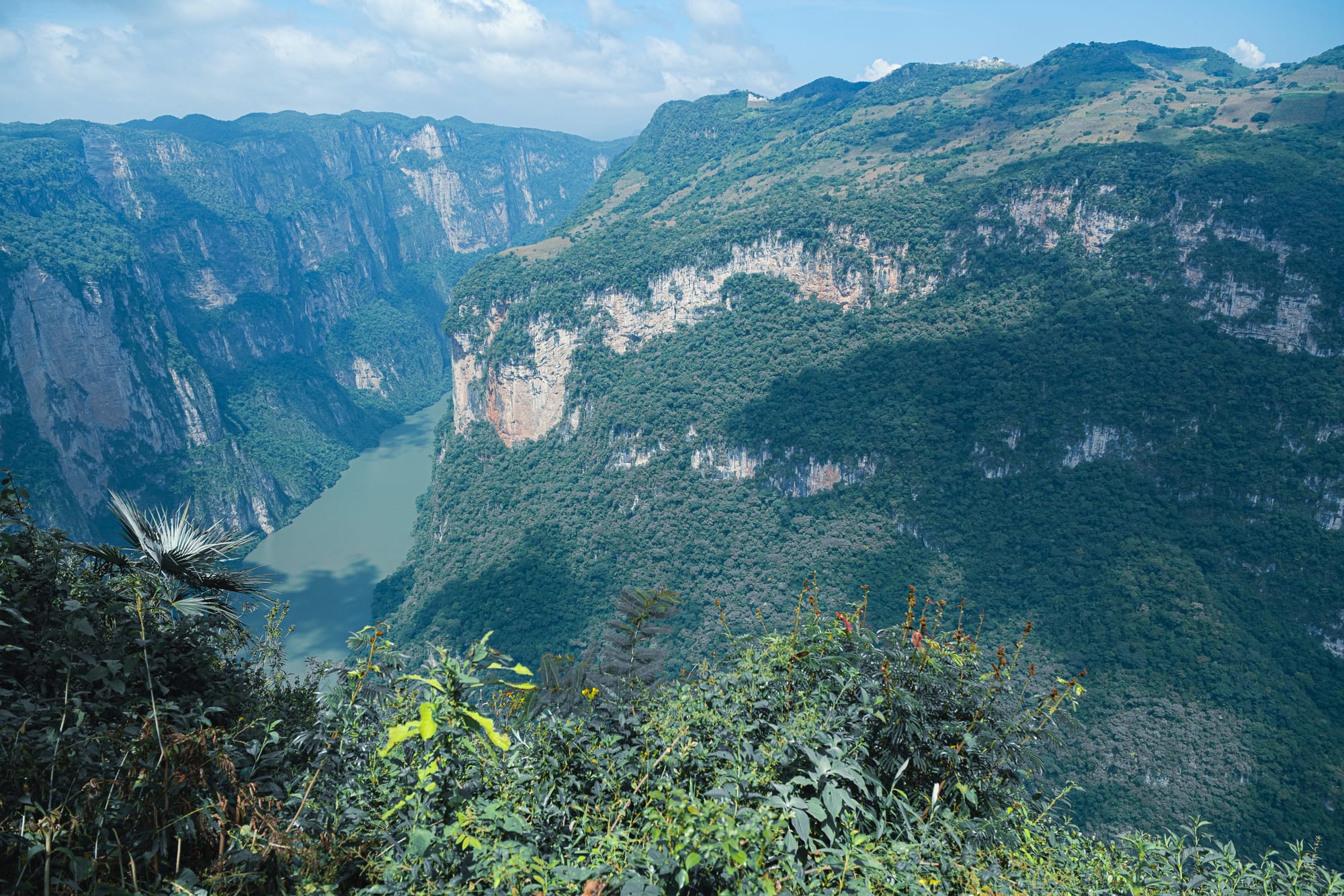 View of Sumidero Canyon from an upper lookout near San Cristóbal de las Casas, showing the Grijalva River winding between towering limestone cliffs and dense green vegetation