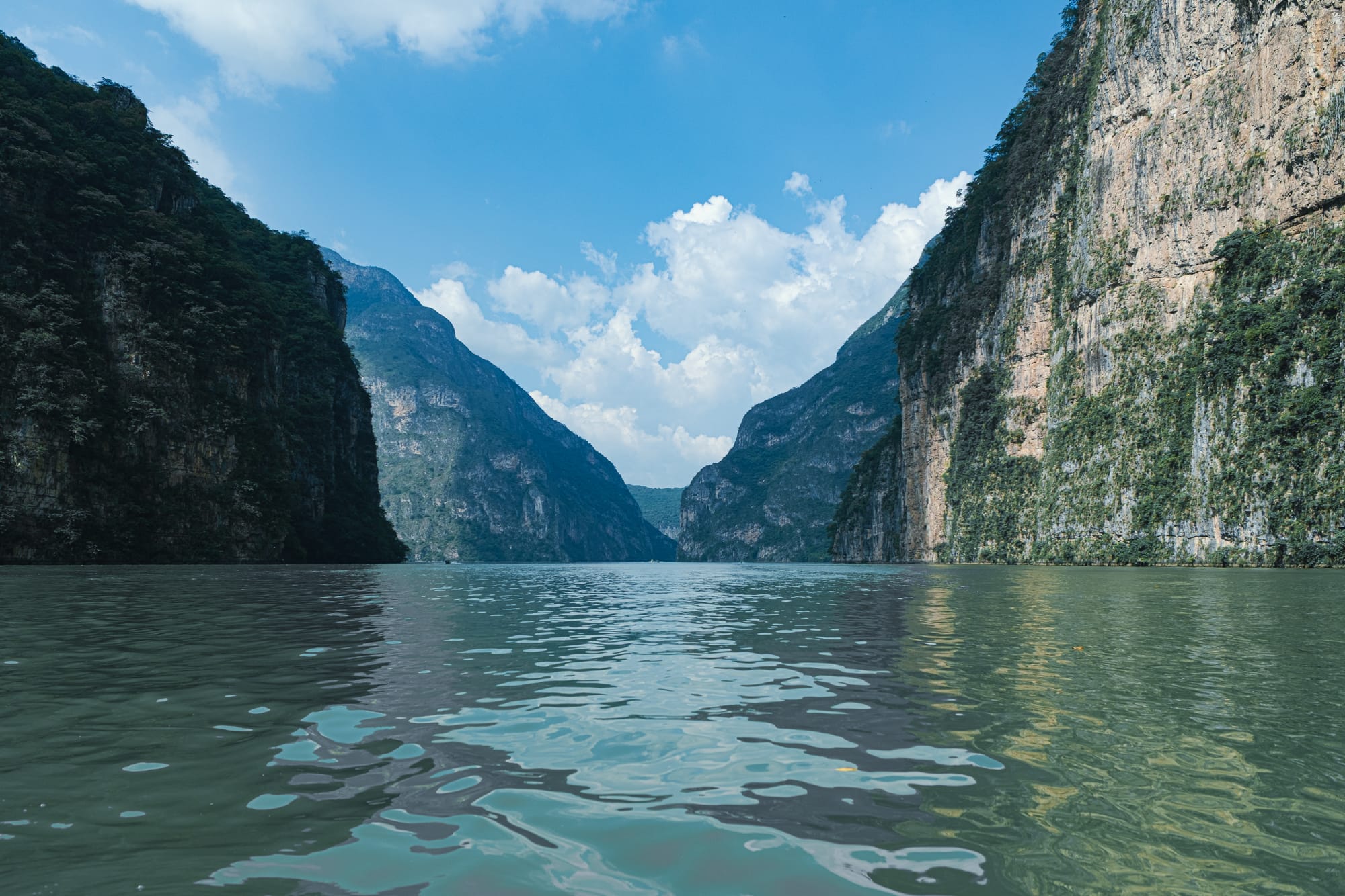Boat-level view inside Sumidero Canyon, showing the Grijalva River framed by steep limestone cliffs and dense greenery under a bright blue sky