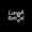 LungA School logo