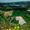 A sweeping view of geometric green and tan farm fields framed by volcanic cliffs and the blue-green lake of Sete Cidades in the distance, with wildflowers and thick foliage in the foreground
