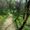 A dirt hiking trail winding through a green forest near Melnik, Bulgaria, with a few people walking ahead under leafing spring trees