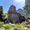 Stone ruins of an ancient building at Termessos, partially overgrown and set against the dramatic backdrop of a forested mountain under bright blue sky