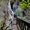 Stone pathway with wooden railing leading into the cliffside caves at El Arcotete near San Cristóbal de las Casas, surrounded by limestone walls and highland vegetation