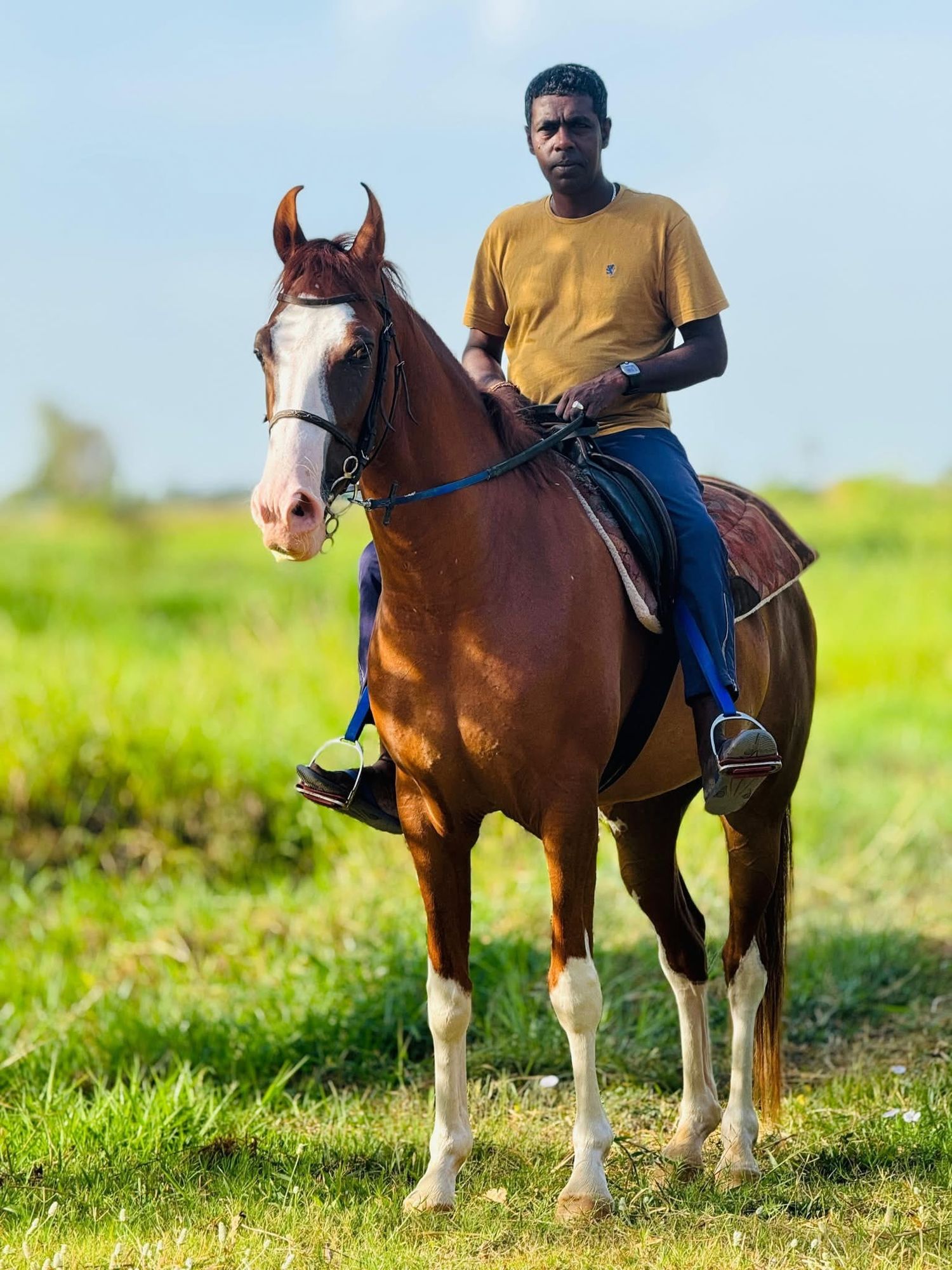 A wrangler/guide sits calmly on horseback at Vonfidel Ranch in Sri Lanka, paused in stillness against a quiet rural landscape.
