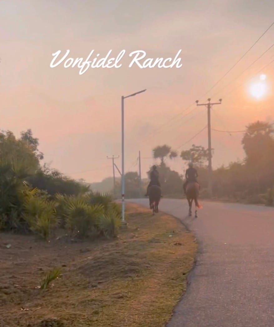 Wranglers riding out at 5:30 a.m. at Vonfidel Ranch as first light settles over the land during the morning work routine.