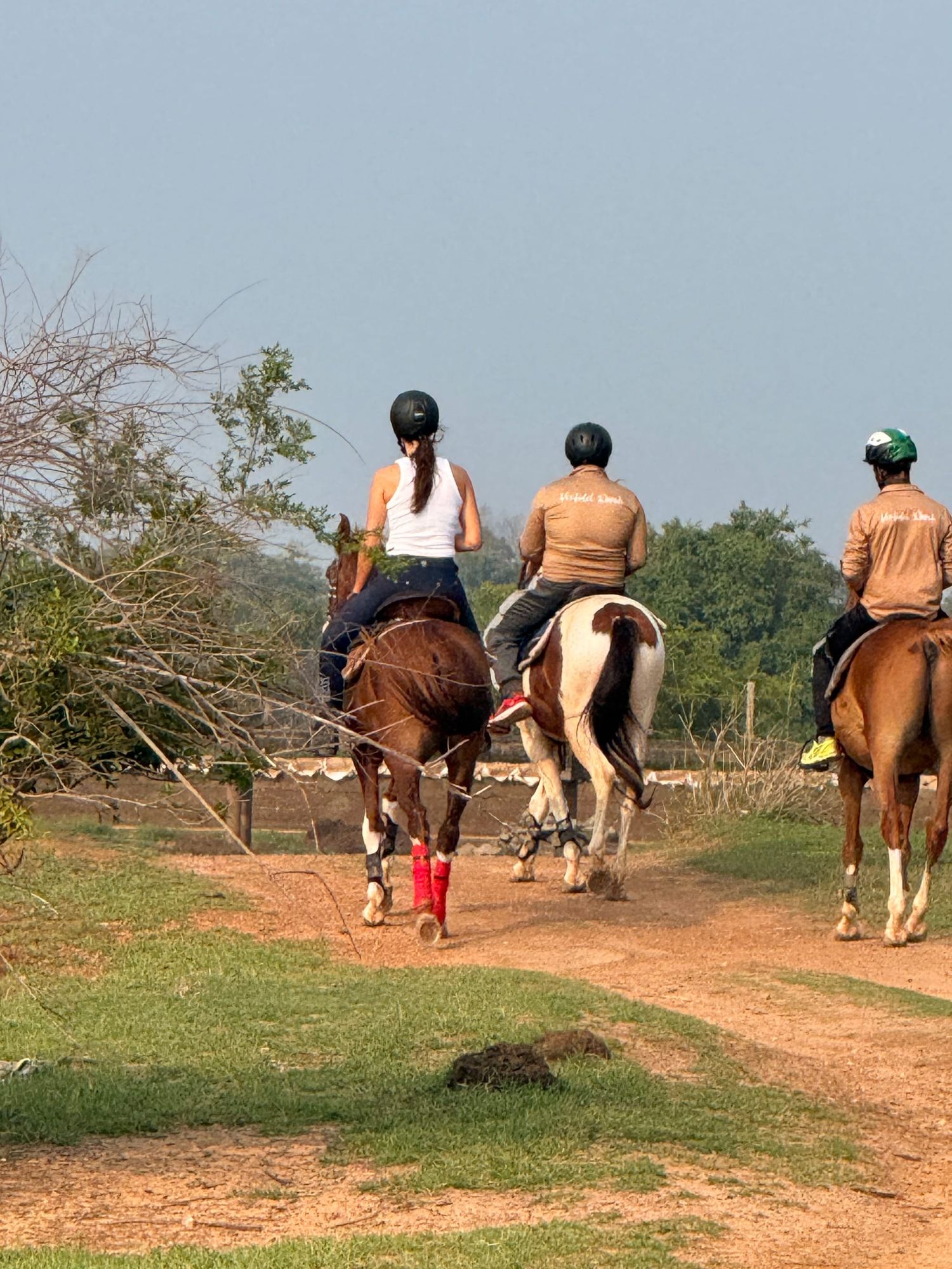 Wranglers and guests riding together during a riding holiday at Vonfidel Ranch. Photo: Vonfidel Ranch
