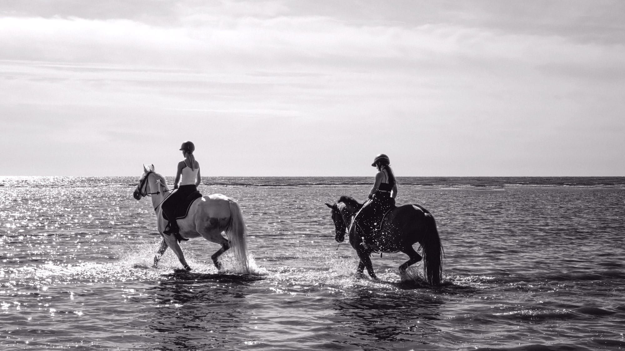 What Makes a Riding Holiday Ethical