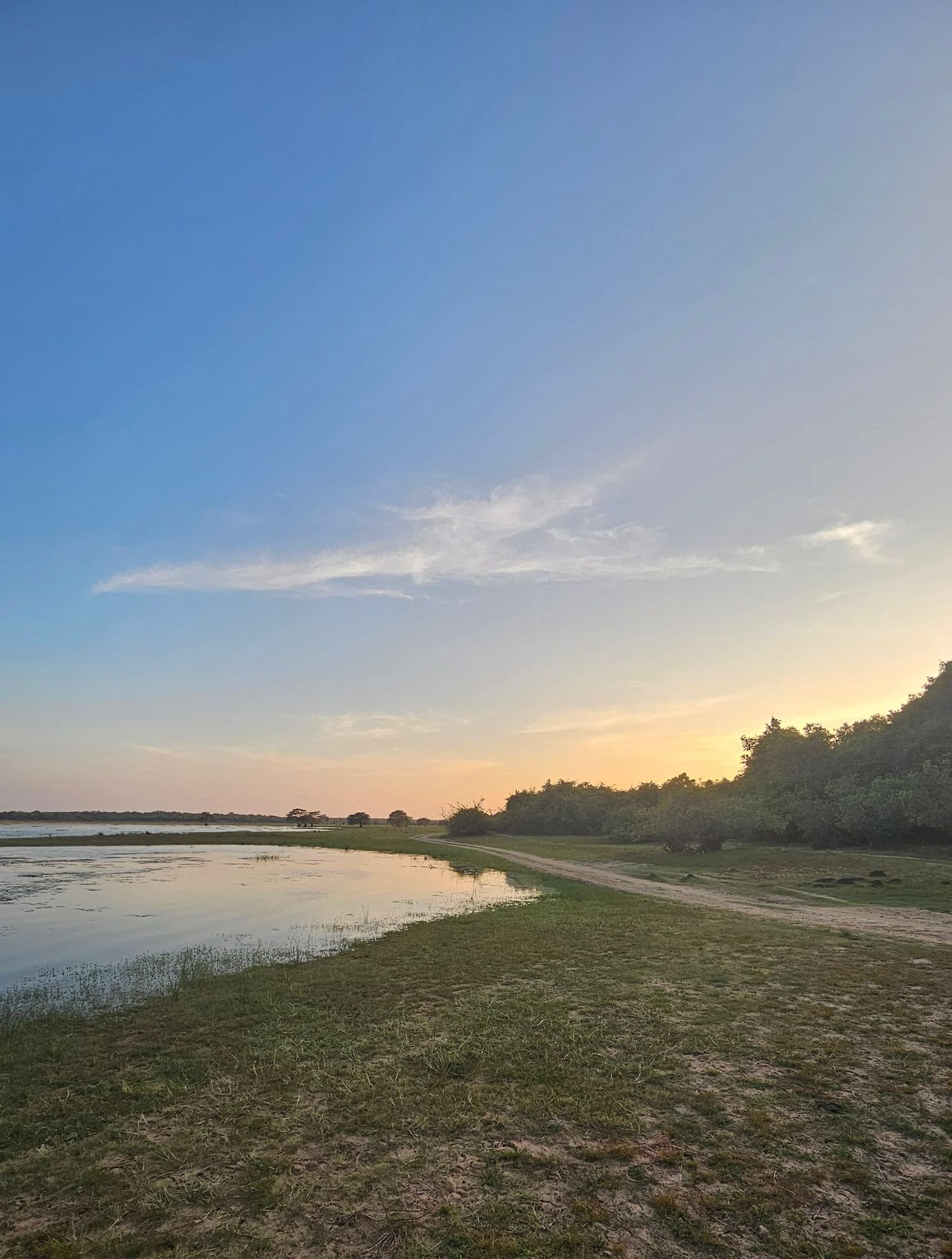 Estate access route and perimeter terrain at dusk in Sri Lanka.