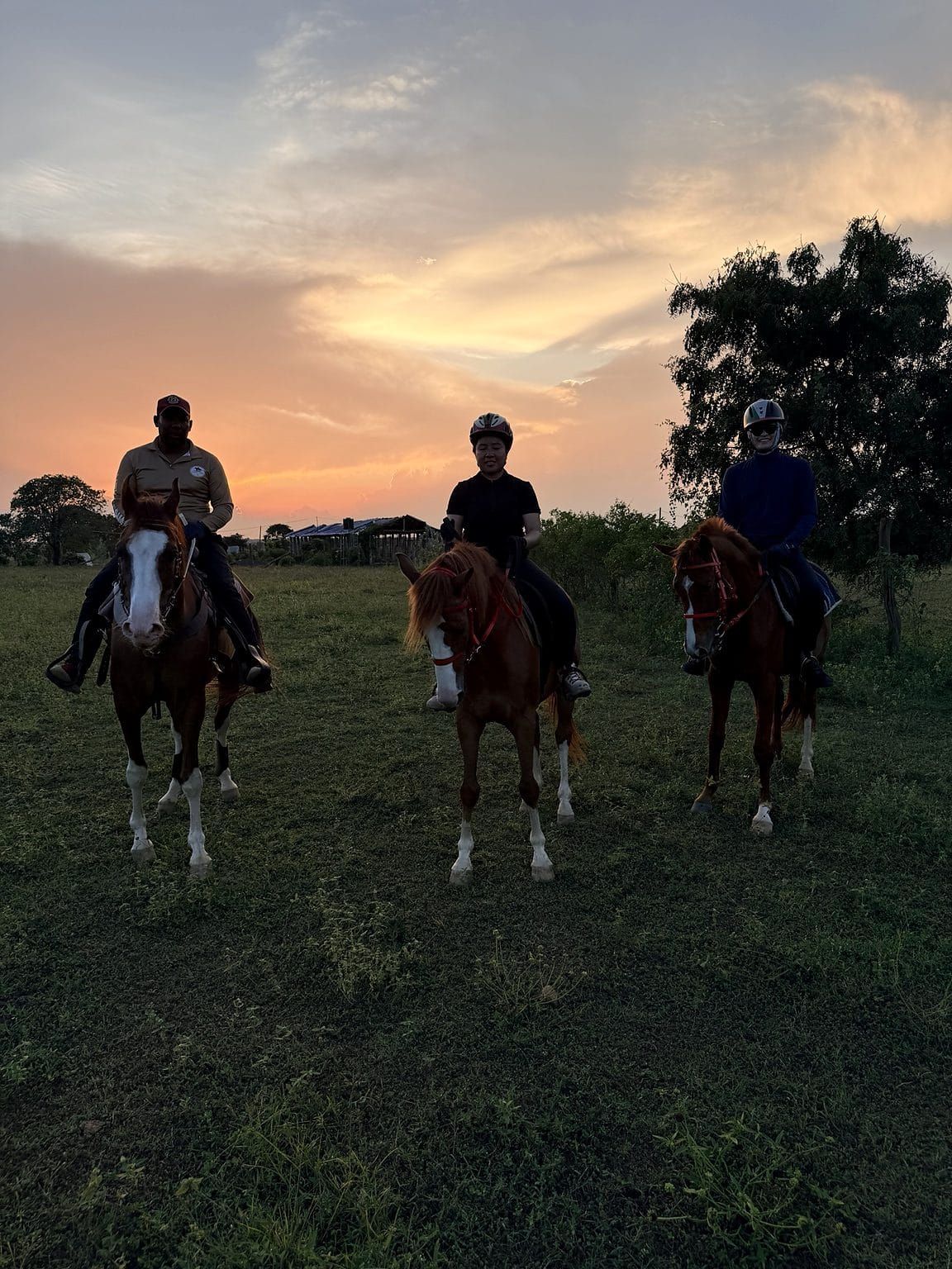 Evening horseback ride across open countryside at Vonfidel Ranch, a private equestrian estate in Sri Lanka known for welfare-focused riding holidays and quiet, landscape-led journeys.