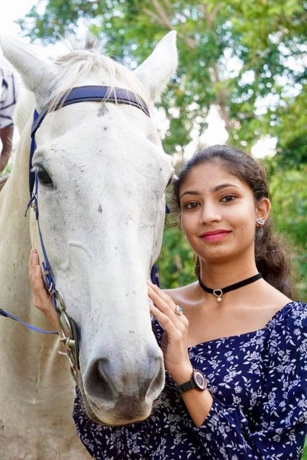A calm horse gazes forward in soft light, reflecting quiet confidence and human connection — a visual metaphor for the geometry and structure of trust.