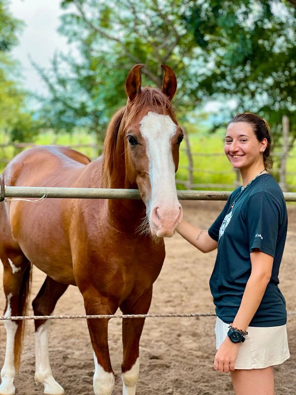 Morning light reveals the symmetrical lines of Vonfidel Ranch’s architecture as a calm horse stands before it — symbolizing structure, ethics, and institutional trust.