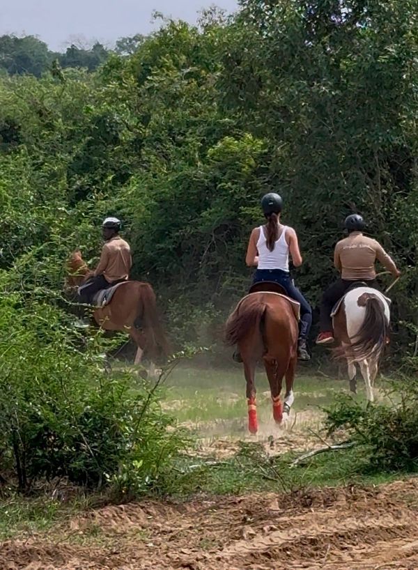 Confident rider navigating a horse through deep Sri Lankan jungle on a Vonfidel Ranch expedition, showcasing terrain suited for advanced equestrians.