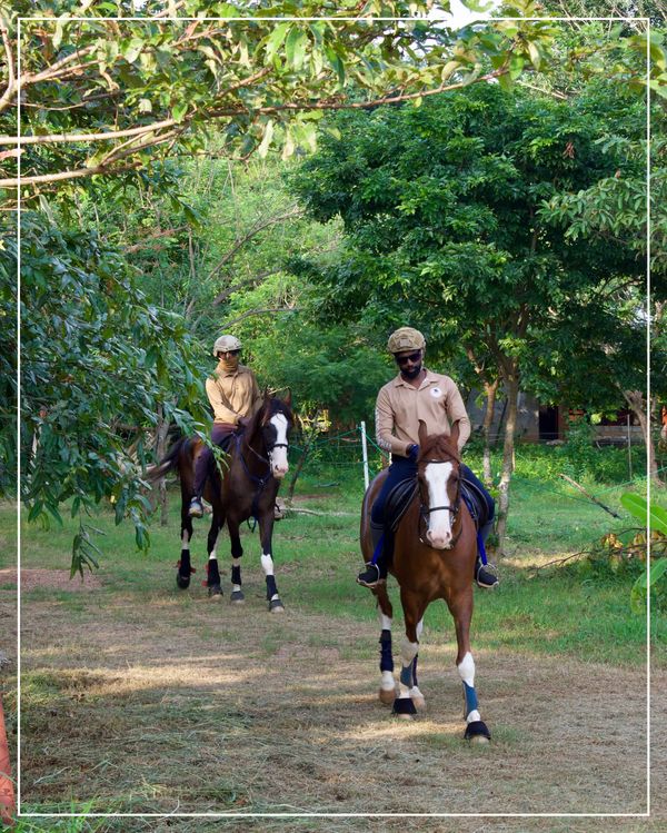 Group of trained trail horses from Vonfidel Ranch walking in formation along a forested trail during a morning conditioning ride in Sri Lanka.