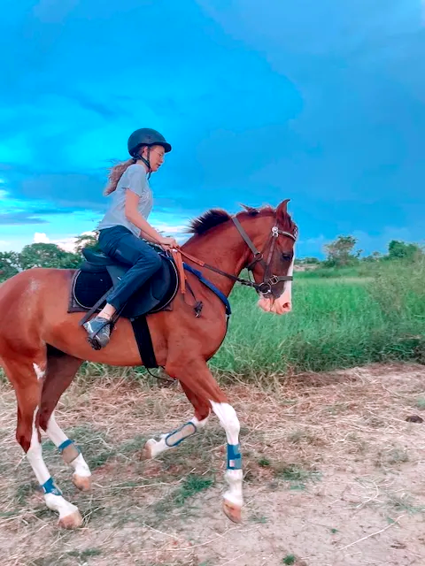 Single rider on a private horseback safari crossing open grasslands at Vonfidel Ranch in Sri Lanka.