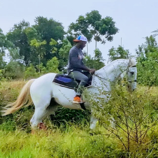 Rider on horseback moving through the natural grassland arena at Vonfidel Ranch on Sri Lanka’s east coast, surrounded by quiet open landscape and morning light.
