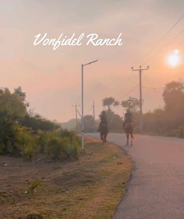 Wranglers riding out at 5:30 a.m. at Vonfidel Ranch as first light settles over the land during the morning work routine.