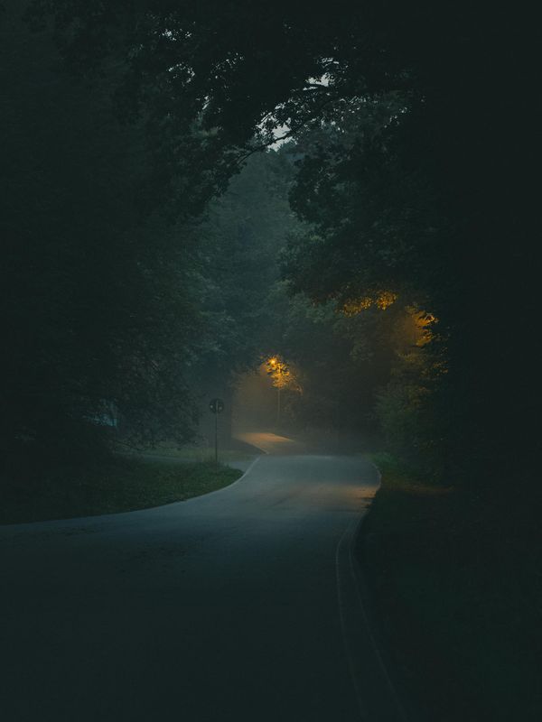 Empty rural road through dense trees in low light, representing controlled movement, minimal presence, and observation within a constrained environment.