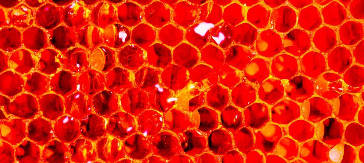 Scentless Honey
