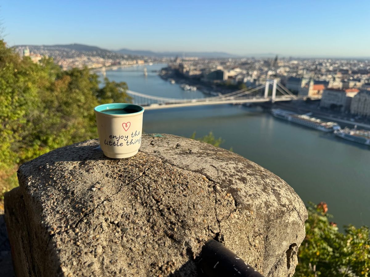 I'm so very sorry...