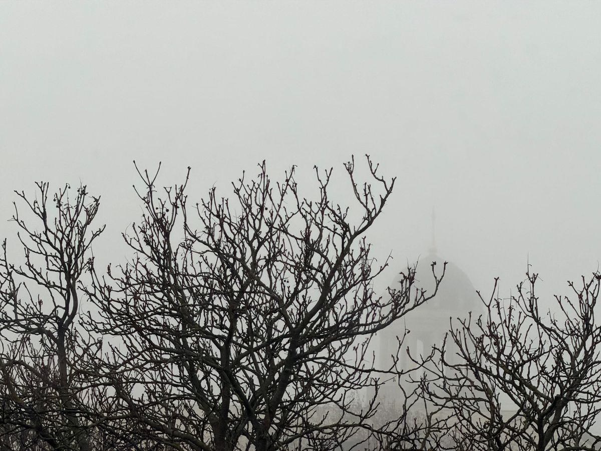 On the forgiveness of autumn...