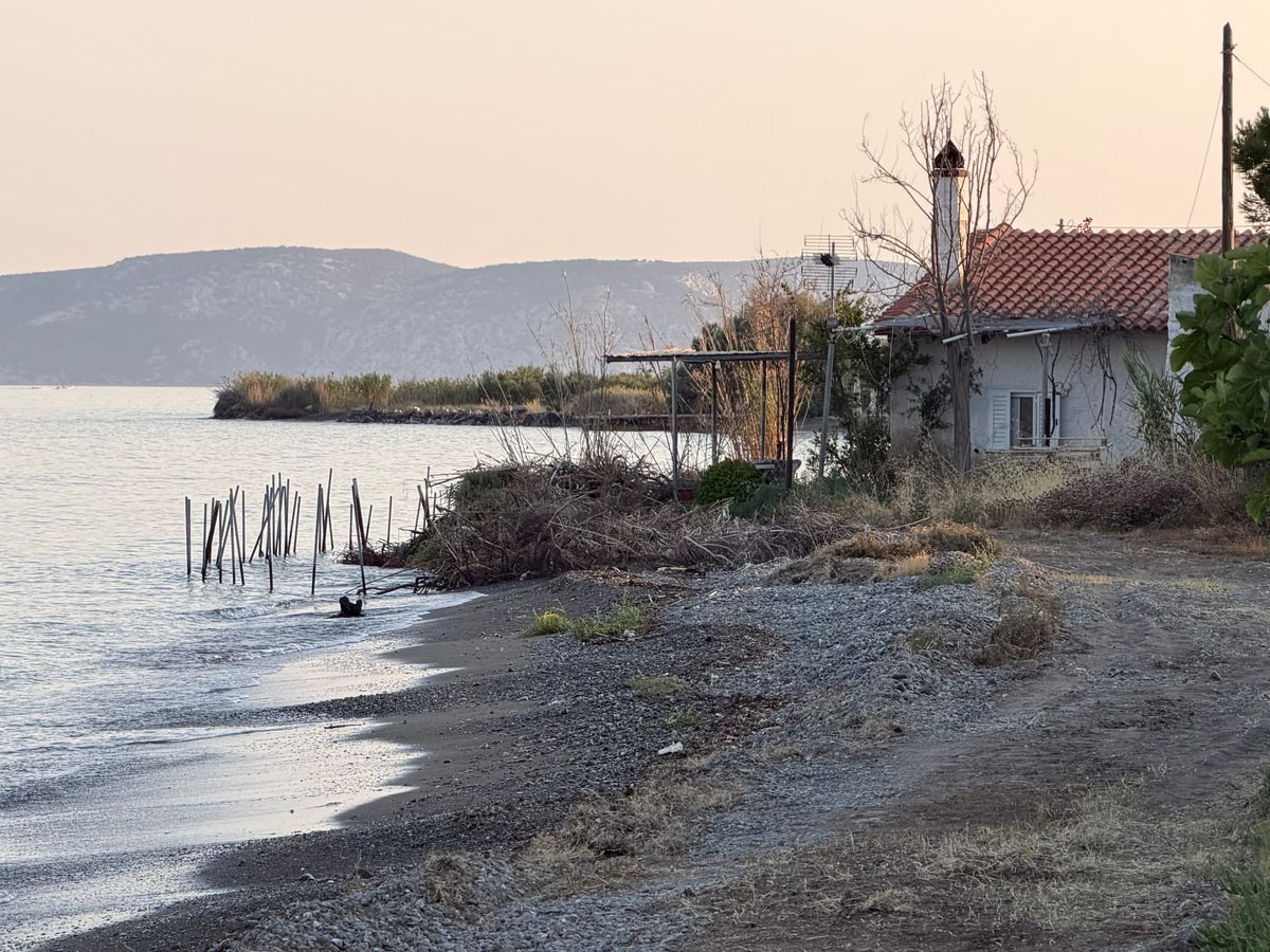 Greece: Three Days of Homecoming