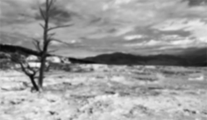 On Landscape, or The Satire of Ansel Adams