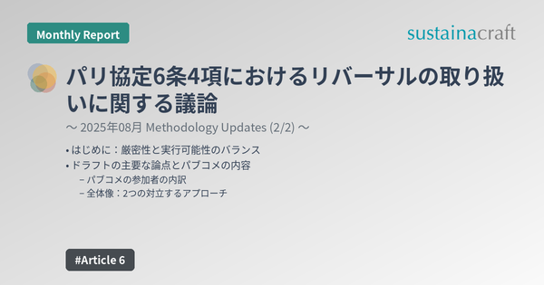 パリ協定6条4項におけるリバーサルの取り扱いに関する議論