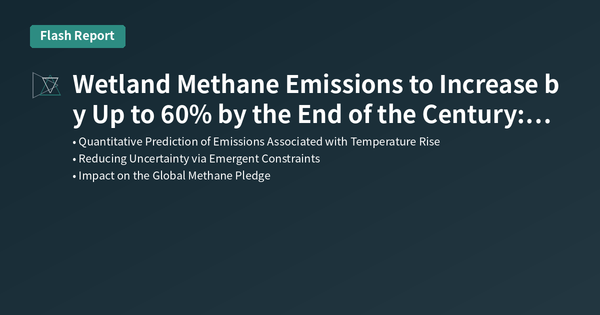 Wetland Methane Emissions to Increase by Up to 60% by the End of the Century: Impact on Climate Goals