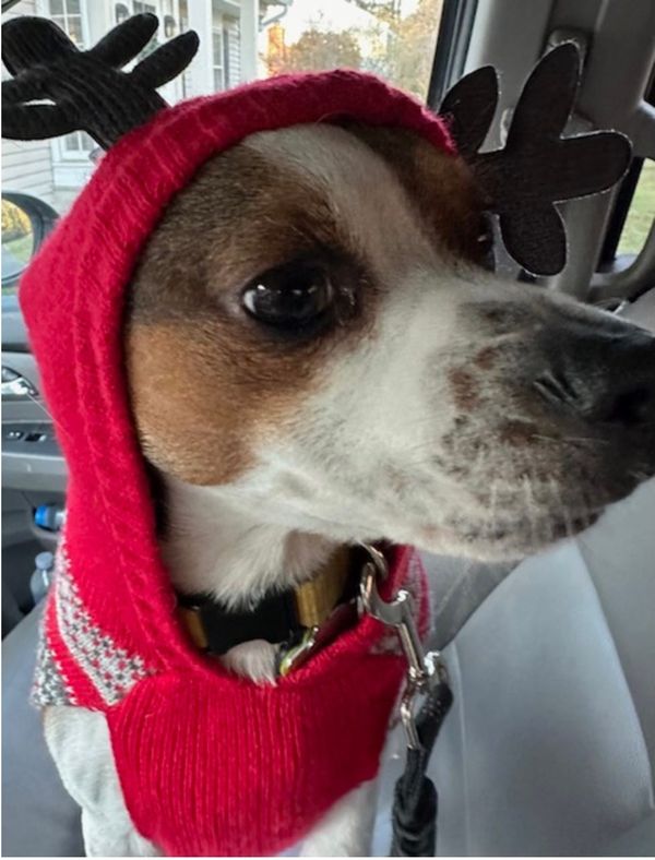 Happy Holidays!