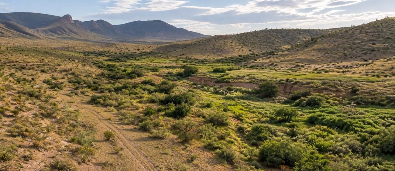 grassland restoration in deserts mountains in West Texas