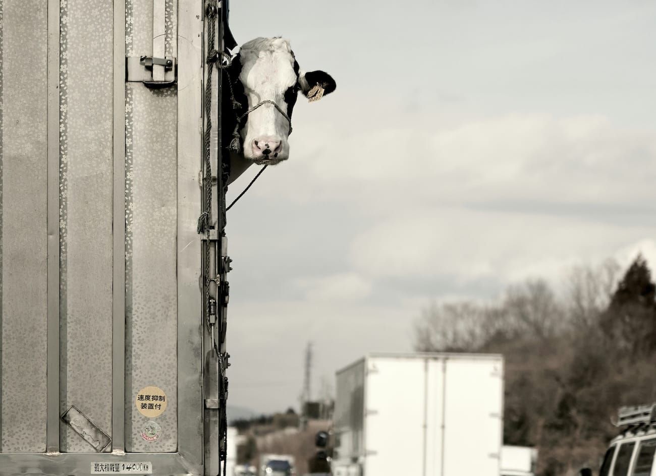 Brooke Rollins Followed Through on Her Warning and Closed the Border to Mexican Imports of Live Cattle, Horse, and Bison