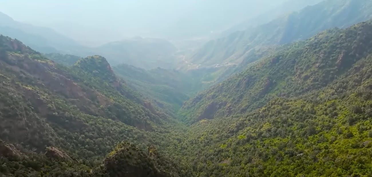 Enhancing the Ecosystem of Soudah Peaks