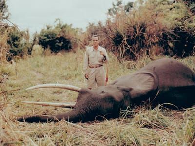 Big Five—Revisiting a Legend: Bill Negley