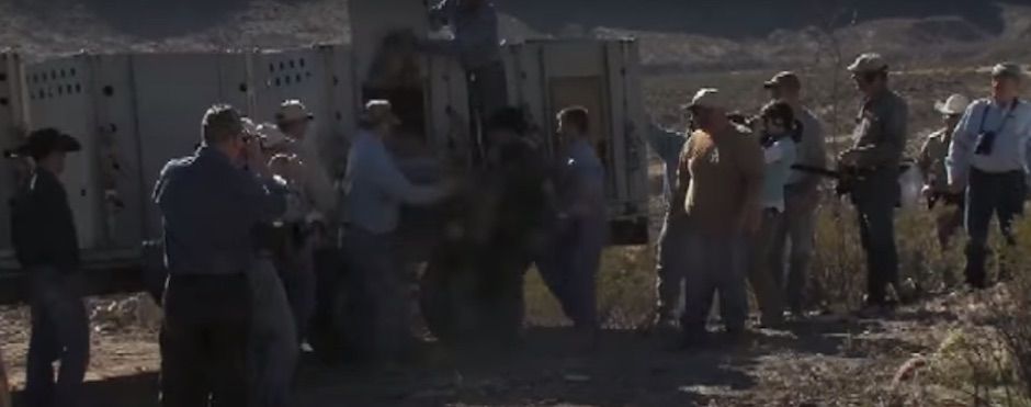 circle_ranch_release_west_texas_feature