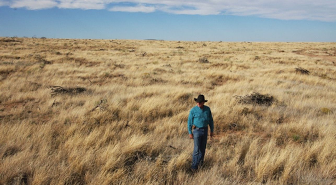 tom_sidwell_restored_grasslands