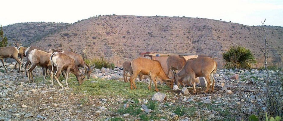 circle_ranch_book_review_feature