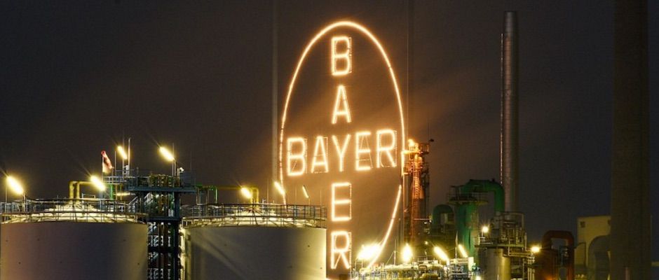 agribusiness_bayer