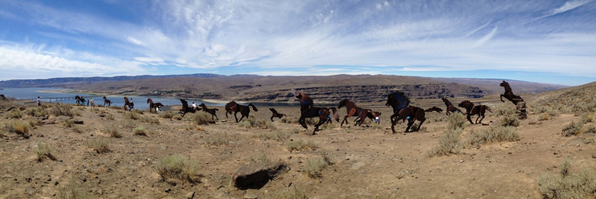 They Shoot Horses (With Birth-Control Darts) Don’t They?