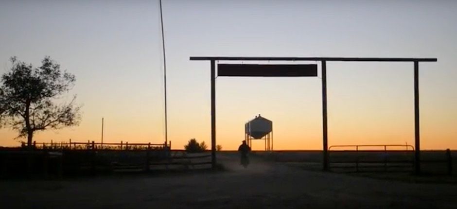 art_of_the_cattle_move