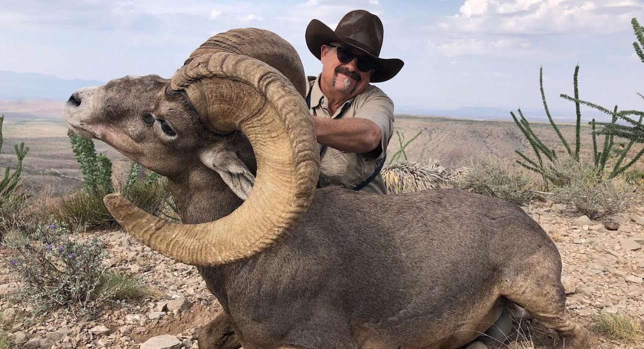 desert_bighorn_hunted_circle_ranch_feature