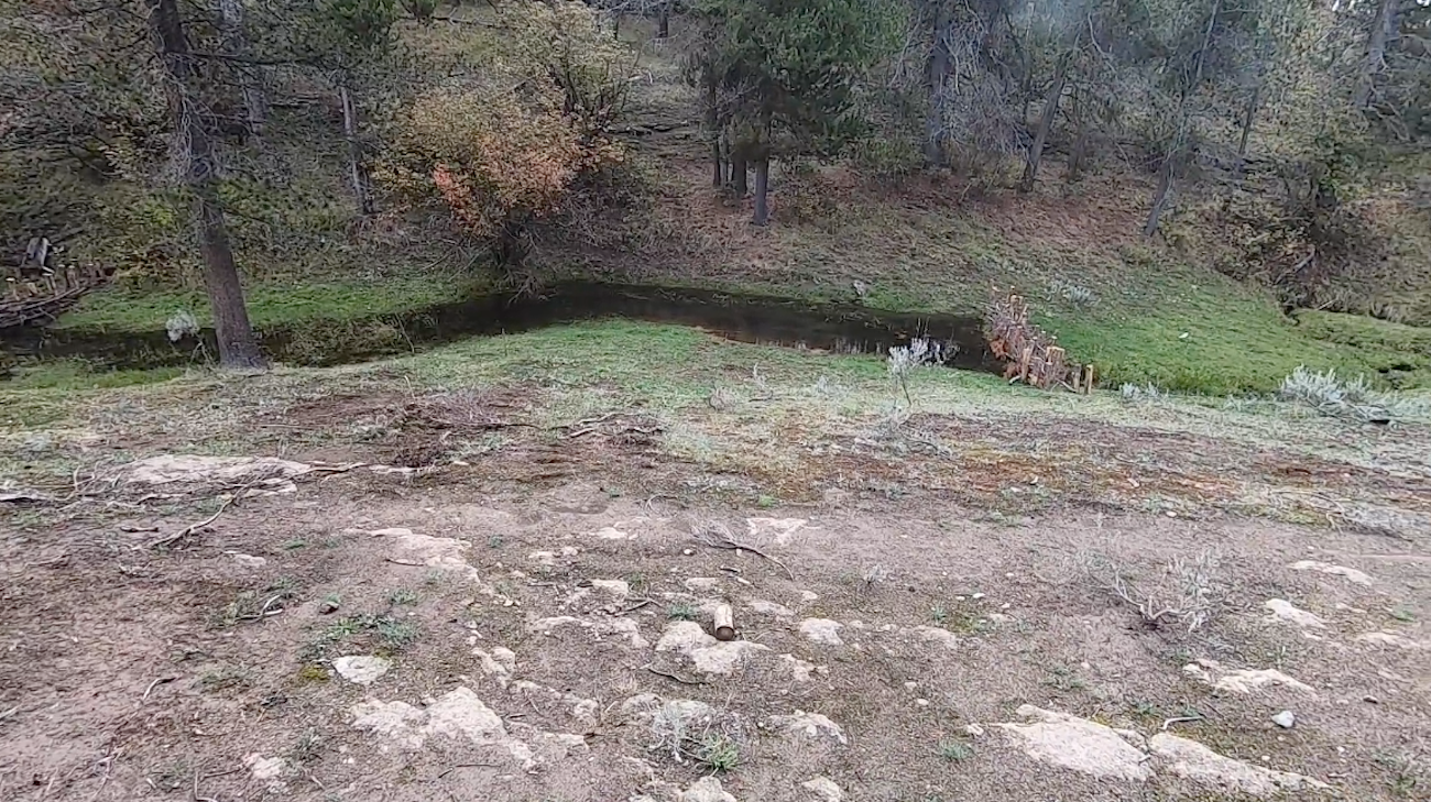 pitchstone_waters_artificial_beaver_dam