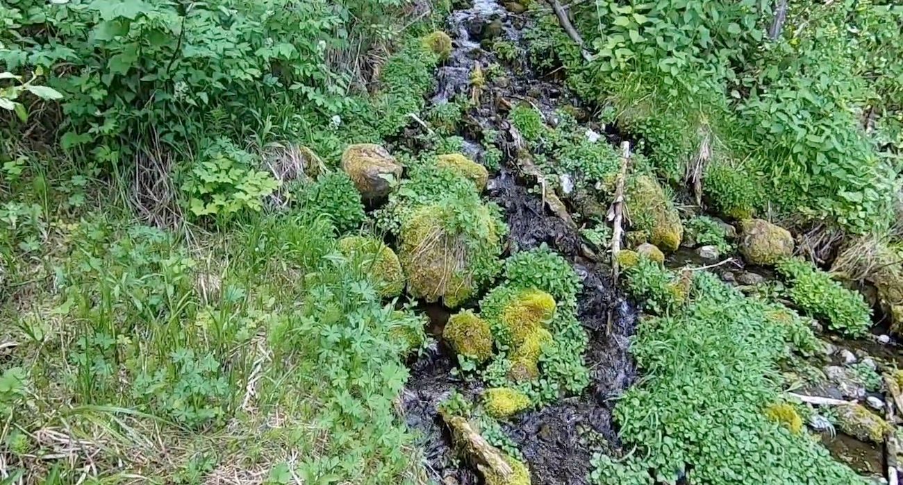beaver_ponds_pitchstone_waters_idaho